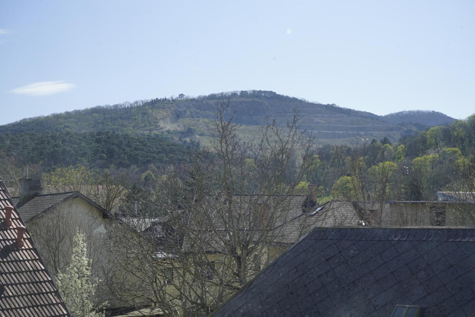 Norling Guest House ウィーン エクステリア 写真